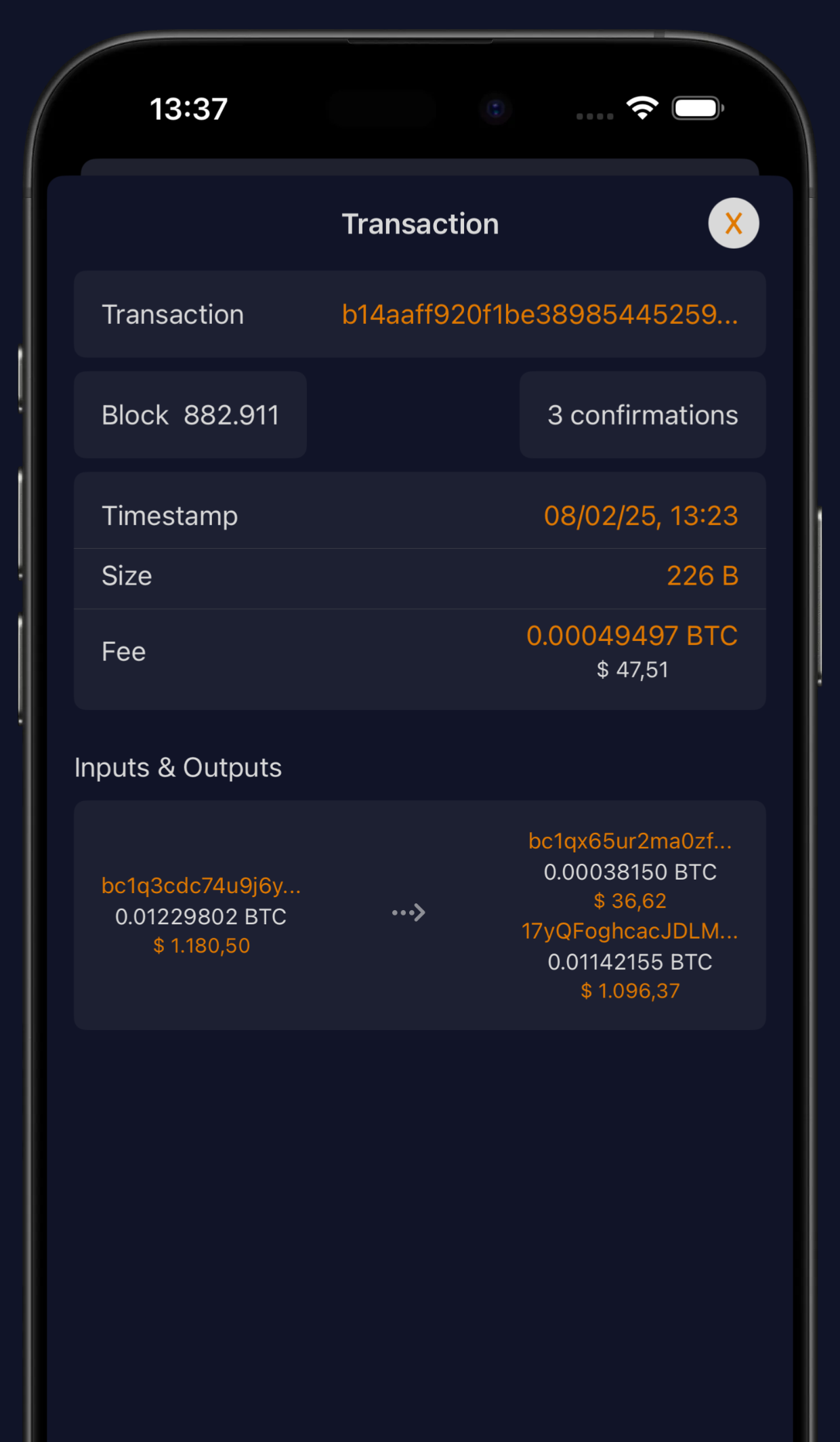 Transaction detail screen with inputs, outputs and confirmations